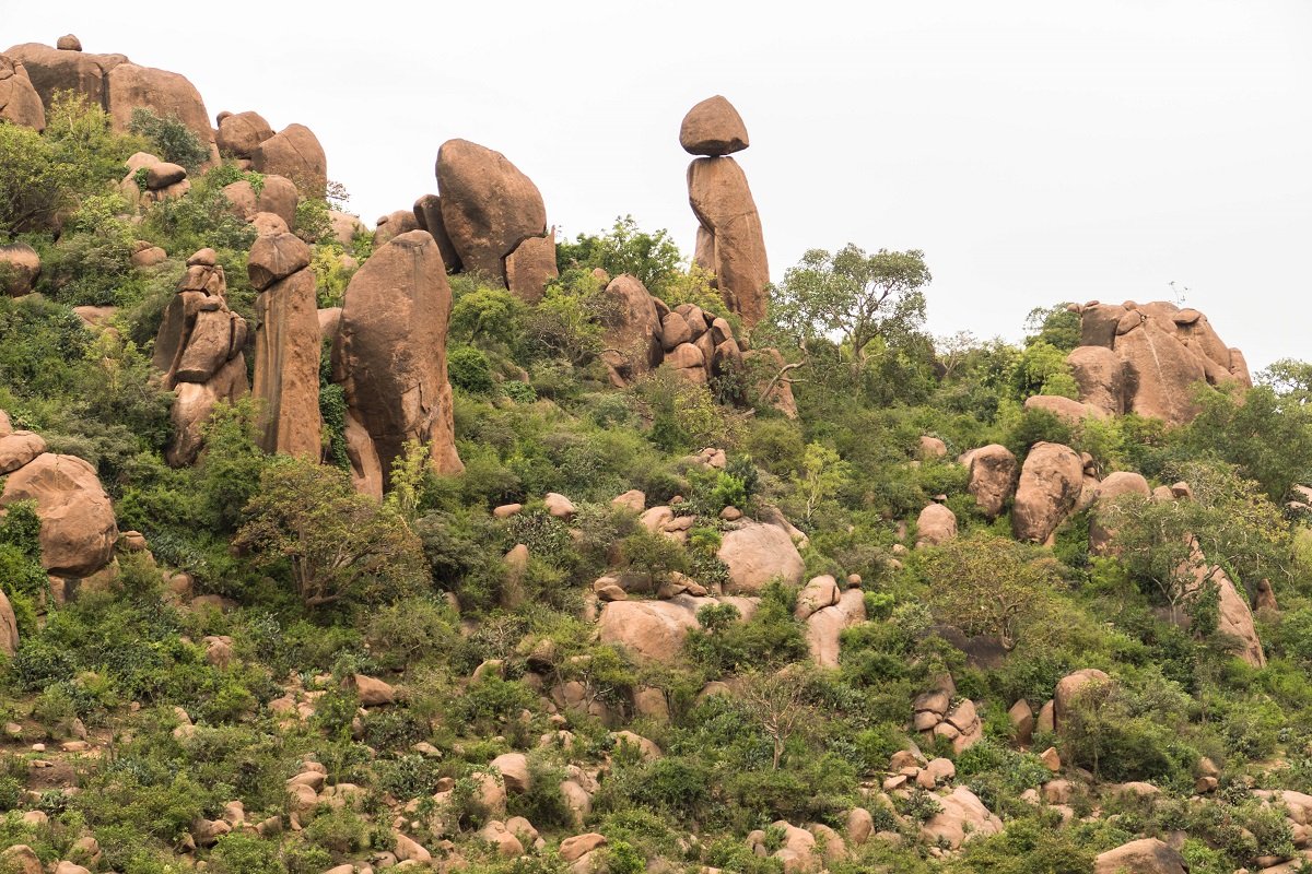 Ethiopia - Culture, Nature and History - Ethiopia - Safaritalk