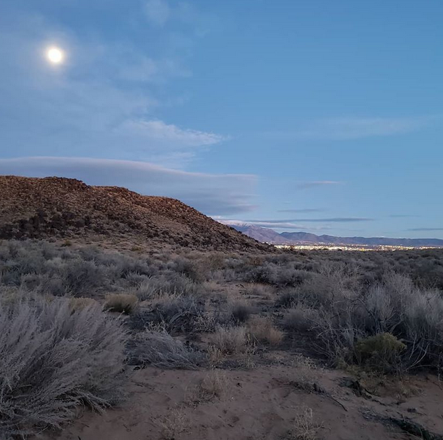 Quick New Mexican Winter Adventure – Rosy Finches - North America inc