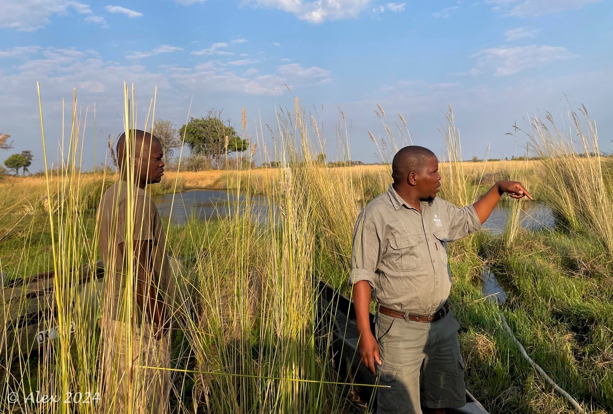 Botswana Botswana Daniel’s route 2024: Is dry season a better time ...