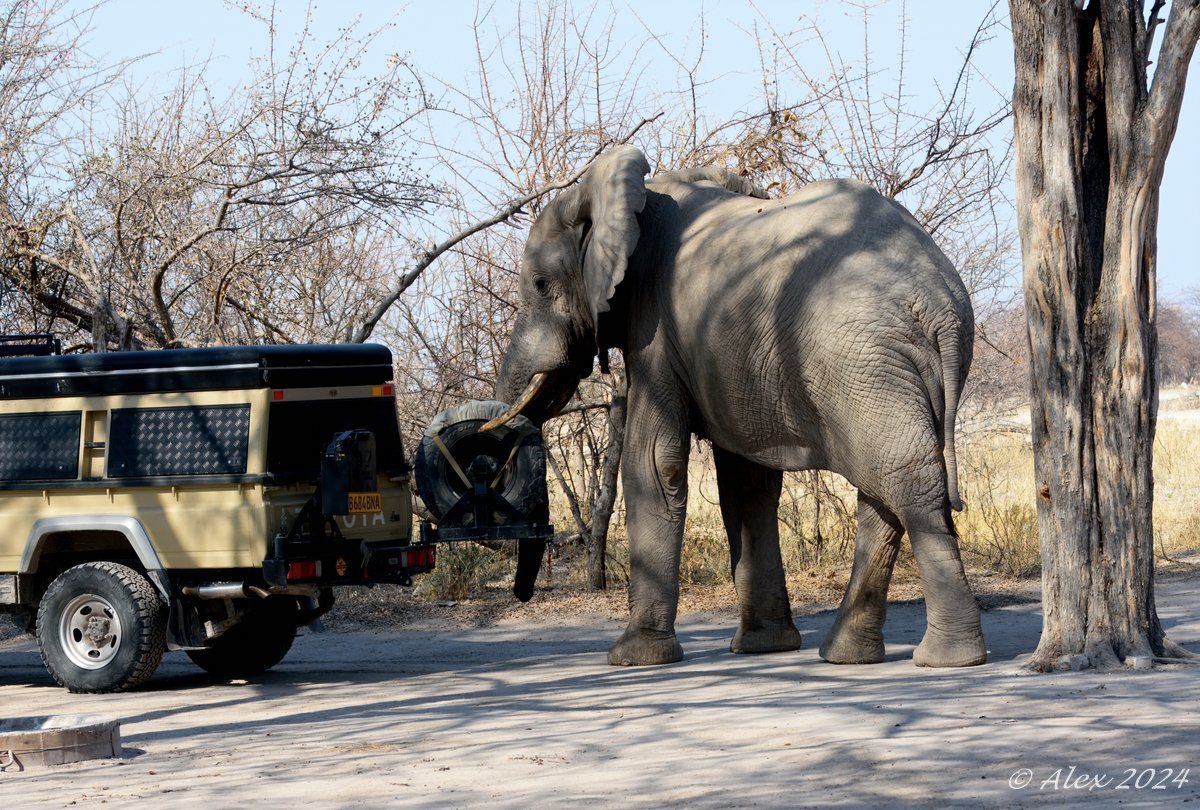 Botswana Botswana Daniel’s route 2024: Is dry season a better time ...