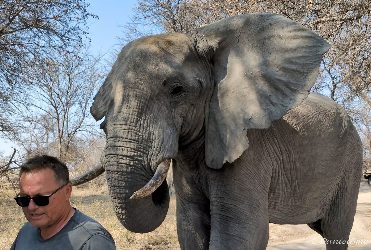 Botswana Botswana Daniel’s route 2024: Is dry season a better time ...